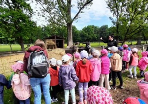 Školní rok 2024&sol;2025