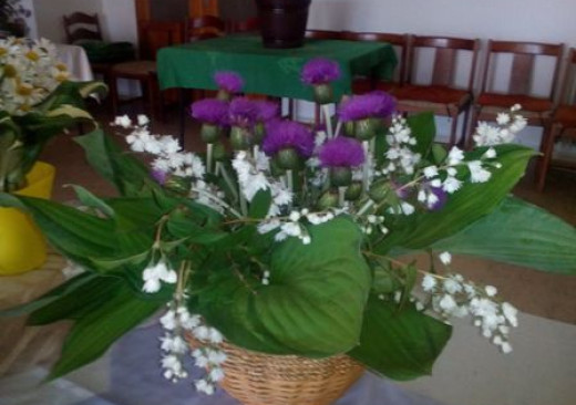 Školní rok 2016⁄2017